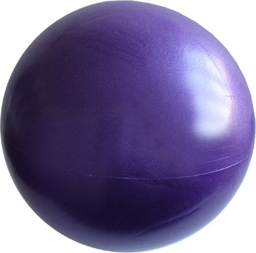 Revalidatie- en fitnessbal Overball 26 cm – Paars