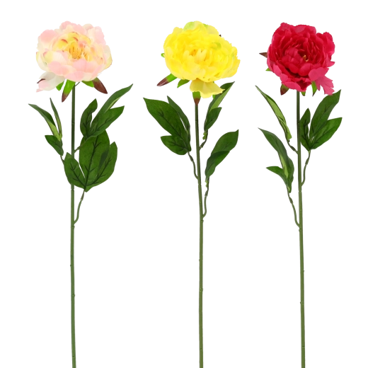 Realistische schoonheid zonder onderhoud