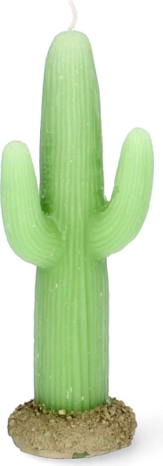 Realistische cactuslook