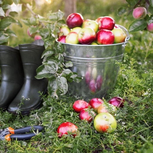 Brede inzet thuis en in de tuin