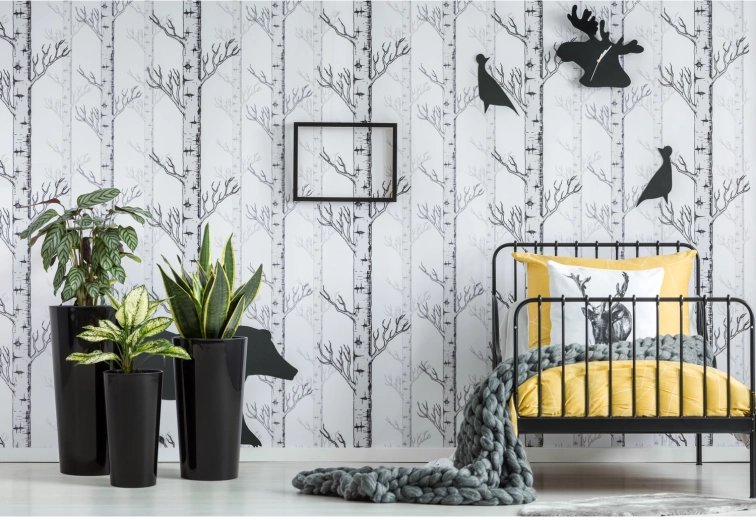 Glanzend design dat overal opvalt