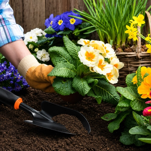 Ideaal voor planten en verpotten