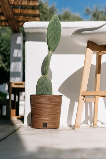 Voor binnen en buiten