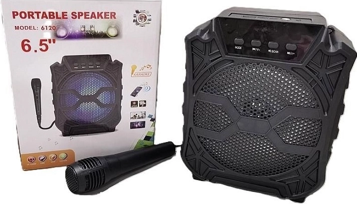 Karaoke-speaker met microfoon
