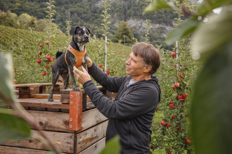 Eenvoudig sluiten met één hand