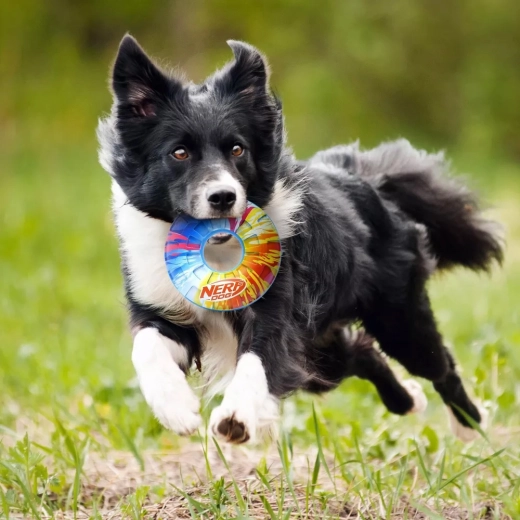Pieper verhoogt de motivatie om te spelen