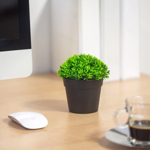 Realistische decoratieve uitstraling