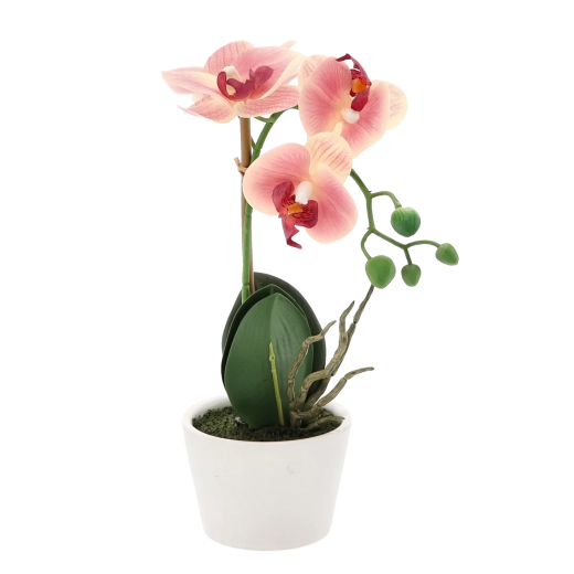 Compacte decoratie voor elke ruimte