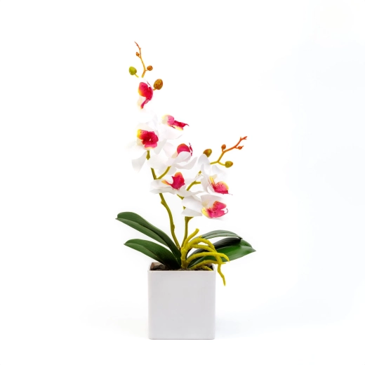 Onderhoudsvrije decoratie