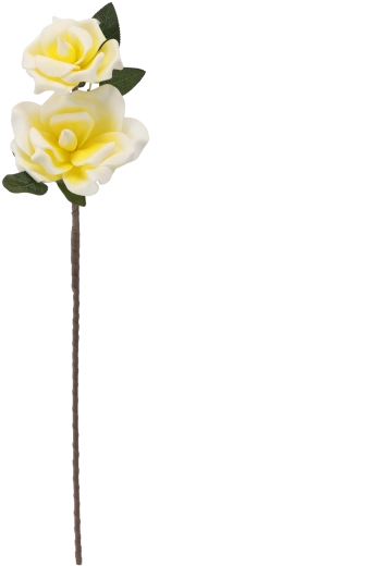 Twee bloemen aan één steel voor een vollere uitstraling