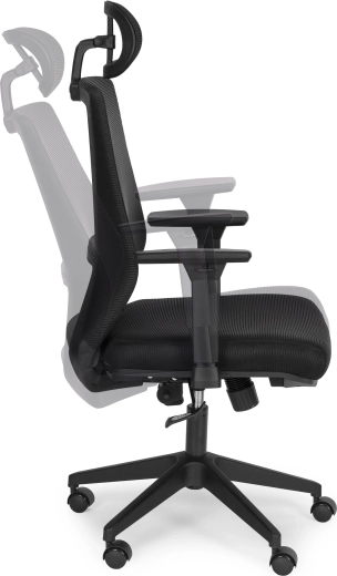 Schommel- en kantelmechanisme met vergrendeling