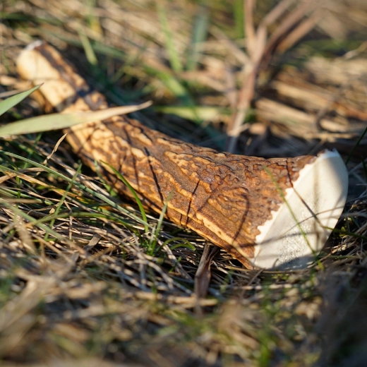 Duurzaam en natuurlijk product