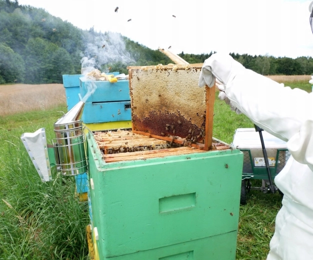 Ideale helper bij het honen