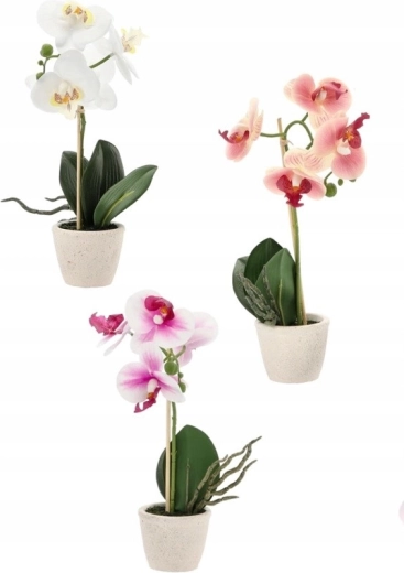 Mix van drie elegante kleuren