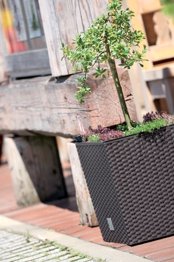 Comfortabel planten dankzij uitneembare inzet