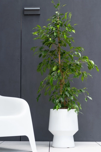 Minimalistisch design voor binnen