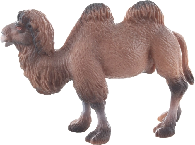 Compacte afmetingen voor eenvoudig gebruik