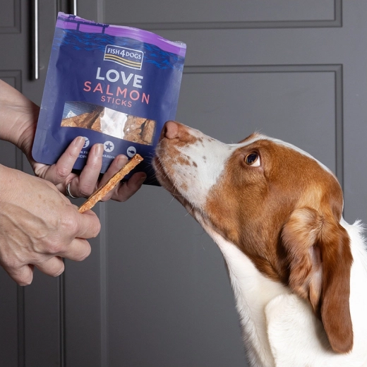 Graanvrij voor gevoelige honden