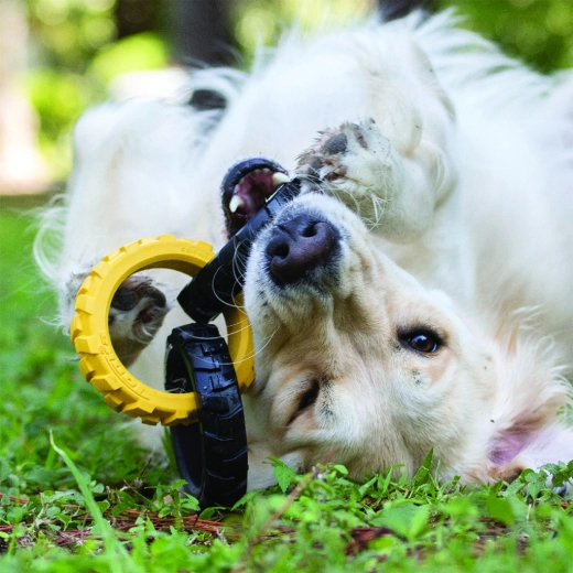 Interactief plezier binnen en buiten