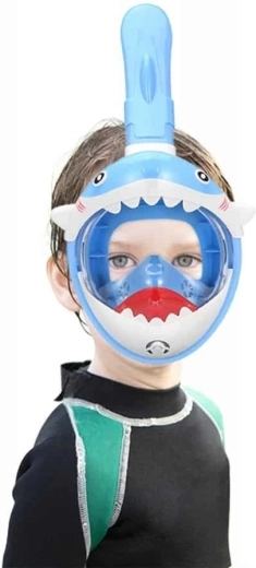 Veiliger snorkelen met DryTop