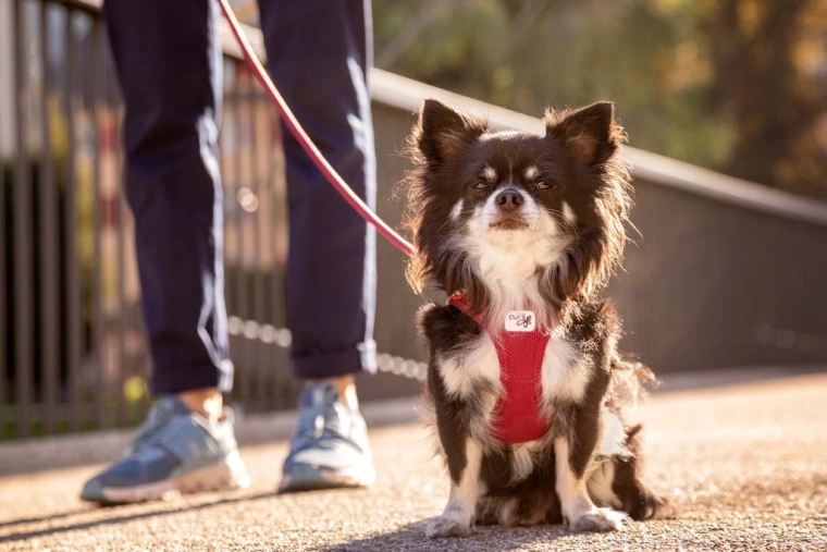 Ademend Air-Mesh met koelend effect
