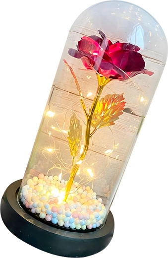 Beschermende glazen stolp