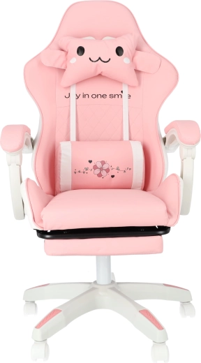 Verstelbare hoogte en comfortabele armleuningen