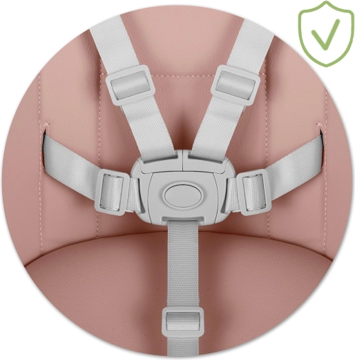 Maximale veiligheid met 5-punts gordel