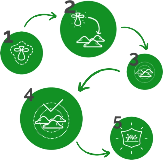 Eenvoudige toepassing stap voor stap