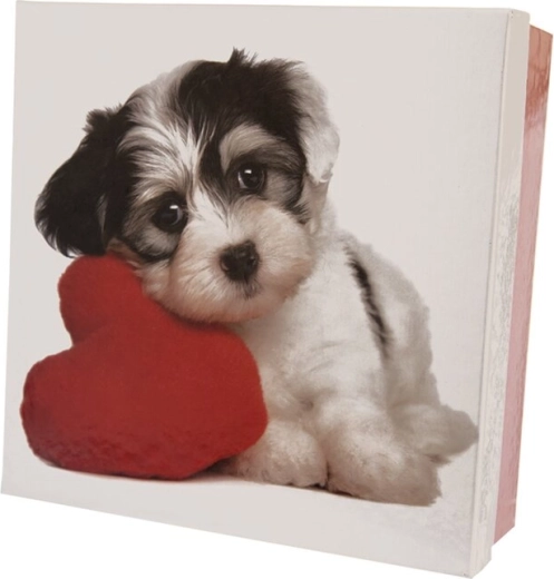 Cadeaupapieren doosje DOG wit-rood 16 × 16 × 6 cm