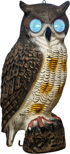 Zonne-LED-ogen voor hogere effectiviteit