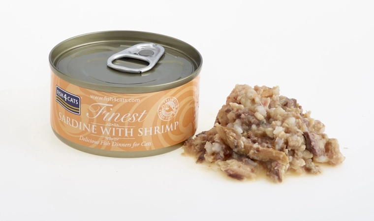 Eenvoudig serveren in sappige bouillon