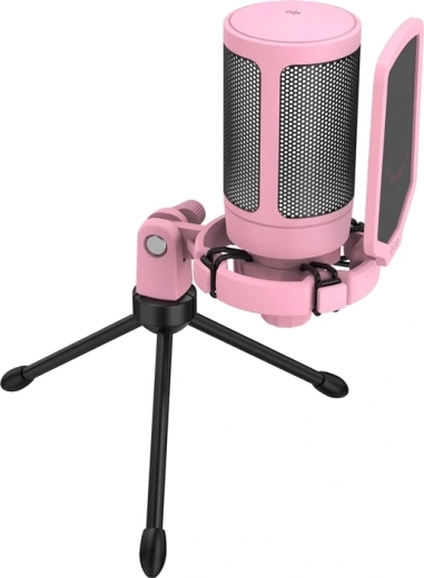 Popfilter voor een helderdere stem en minder storende geluiden