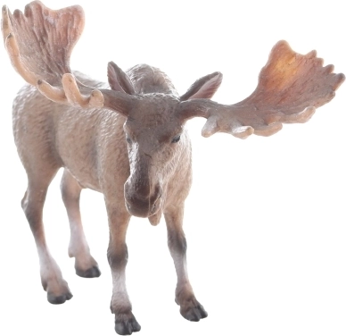 Realistische uitvoering voor een levensechte beleving