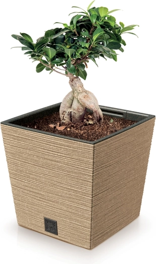 Licht maar sterk ECO‑materiaal