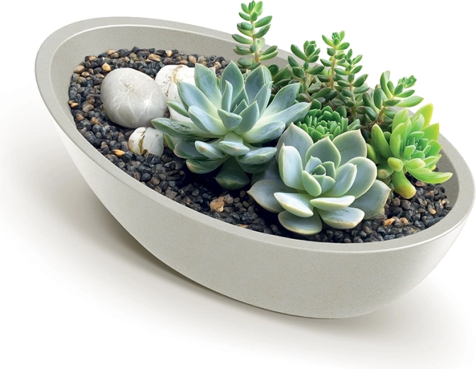 Ideaal voor vetplanten en arrangementen