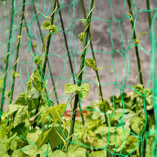 Verticale ondersteuning voor een rijke oogst