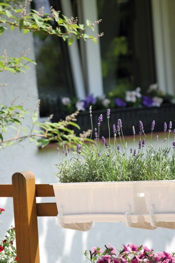 Hoge draagkracht voor zekerheid tijdens het kweken