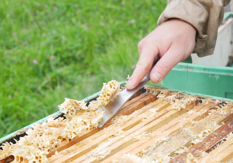 Effectieve kastreiniging