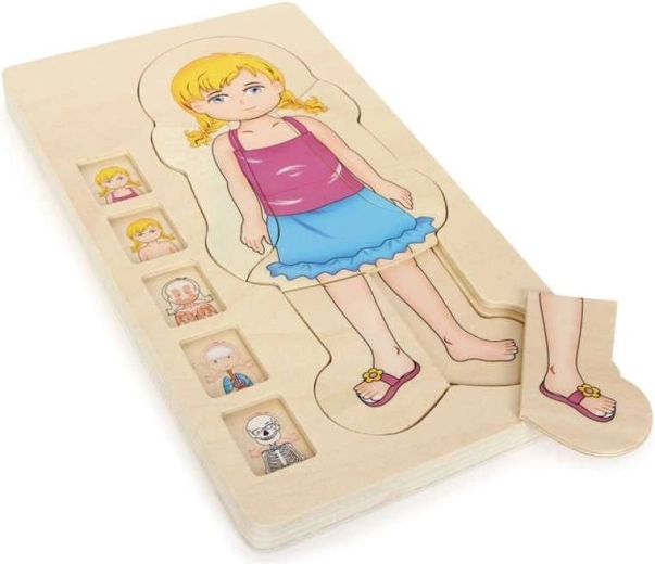Small foot houten gelaagde puzzel anatomie