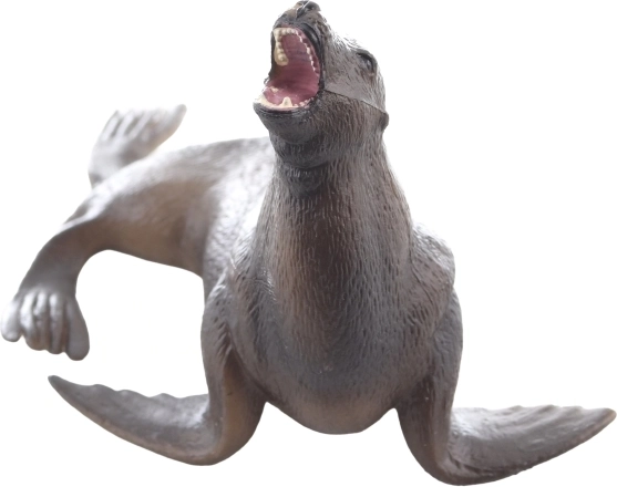 Geweldig om te leren over zeedieren