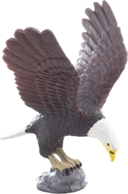 Stabiele rotsachtige voet