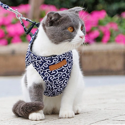 Comfortabel tuigje voor katten en honden – Blauw S