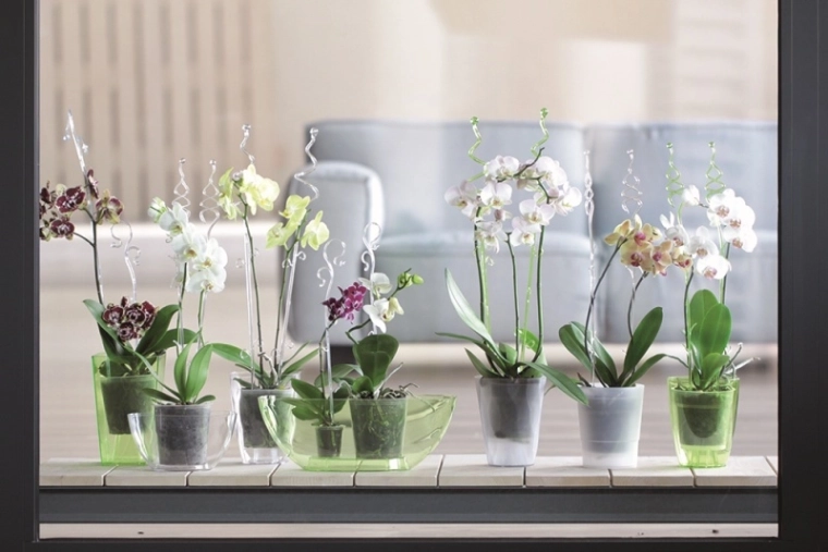 Elegante en onopvallende steun voor bloemen