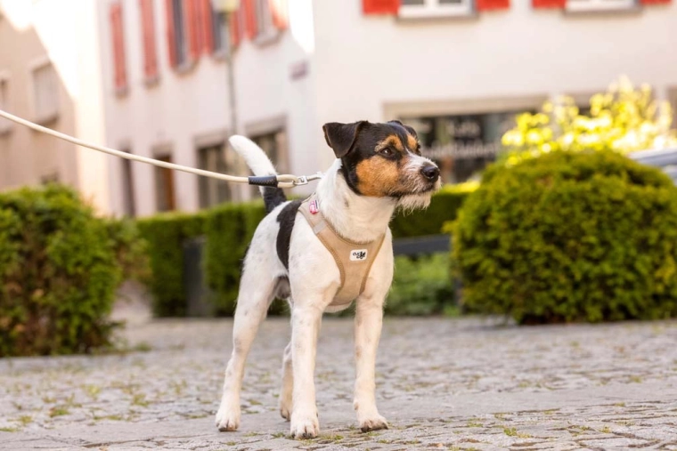 Veiligheid bij elke stap