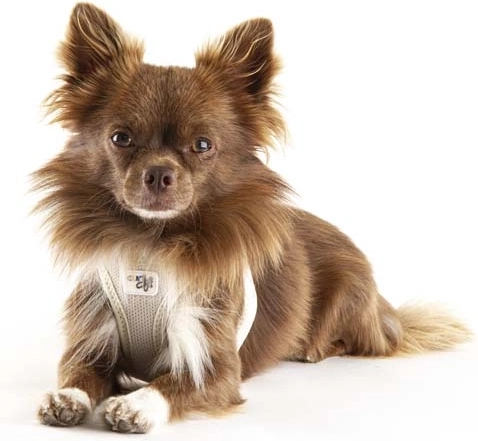 Ergonomische pasvorm zonder druk op de nek