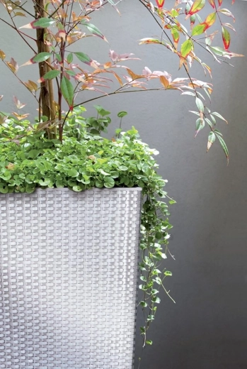 Moderne ratantextuur voor binnen en buiten