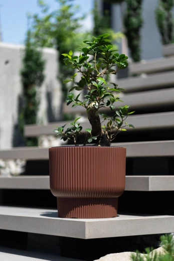 Uitneembare inzet met handgrepen