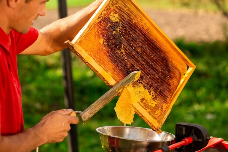 Ideaal voor het ontzegelen van raten