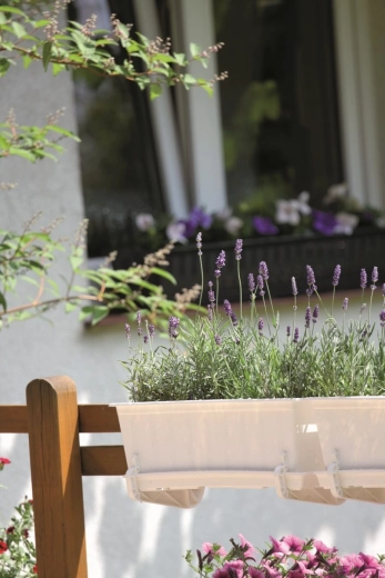 Praktische montage aan leuning en plaatsing op vensterbank